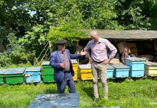 EU unterstützt die Entwicklung von Kleinstunternehmern in Regionen Aserbaidschans