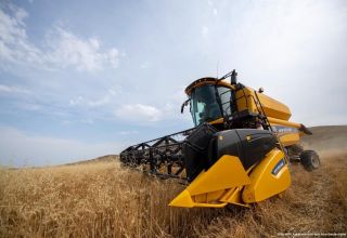 Kasachstan steigerte den Export landwirtschaftlicher Produkte