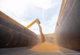 Einfuhrverbot für Weizen in Kasachstan verlängert