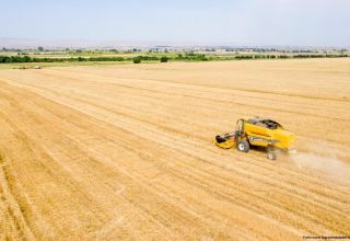 Deutschland erhöht Importe von Getreide und Hülsenfrüchten aus der Türkei