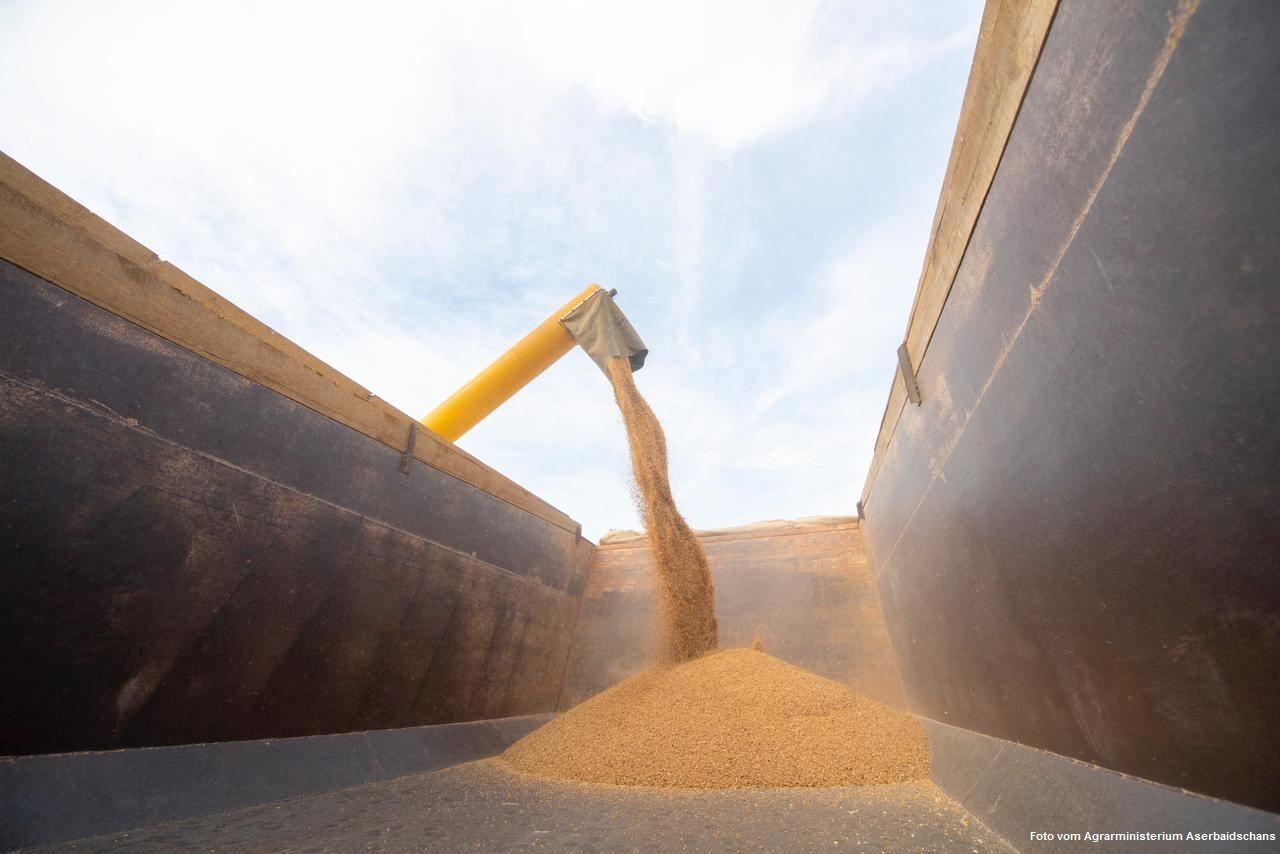 Weizen machte in zehn Monaten 10 % des Devisenhandelsumsatzes Usbekistans aus