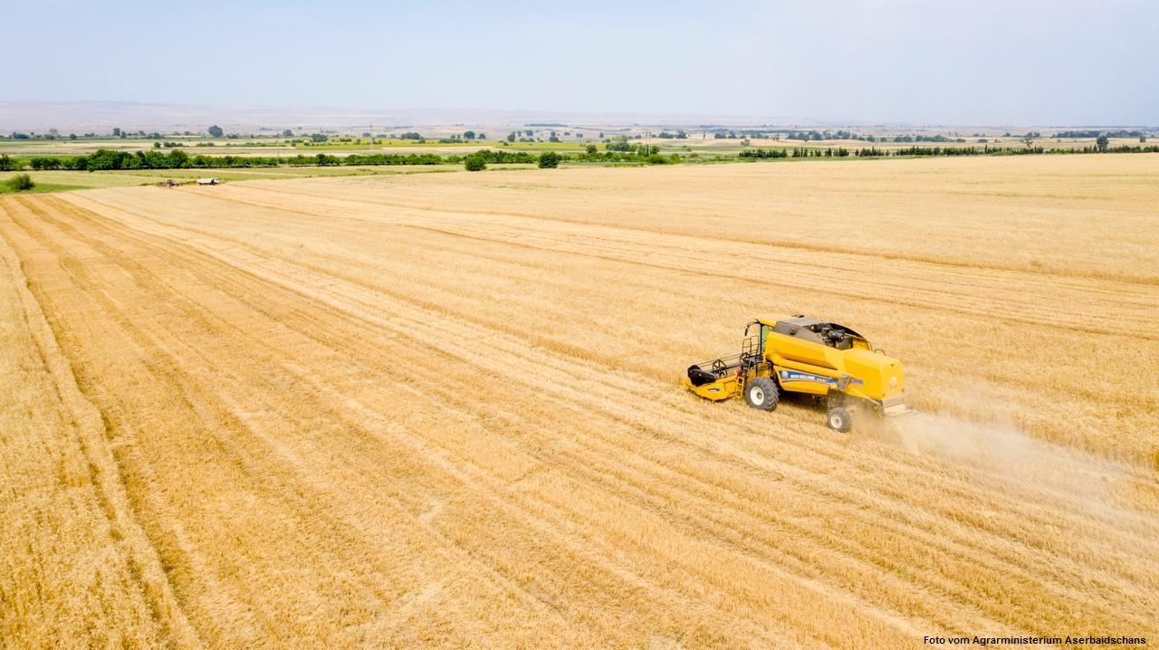 Kasachstan nimmt Lieferungen von Getreide und Mehl nach Afghanistan wieder auf