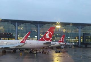 Turkish Airlines hat 40 Flüge gestrichen