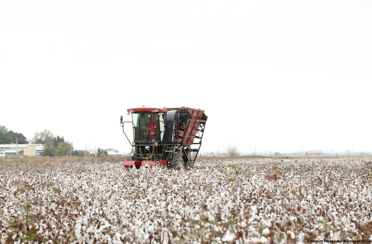 FAO unterstützt Turkmenistan bei der Verbesserung der Baumwollproduktion