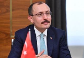 Die Türkei ist bereit, Zolltarife im Frachtumschlag mit türkischsprachigen Ländern zu senken - Minister