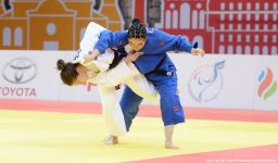 Aserbaidschanische Judoka gewann Silber bei der Europameisterschaft - Gallery Thumbnail