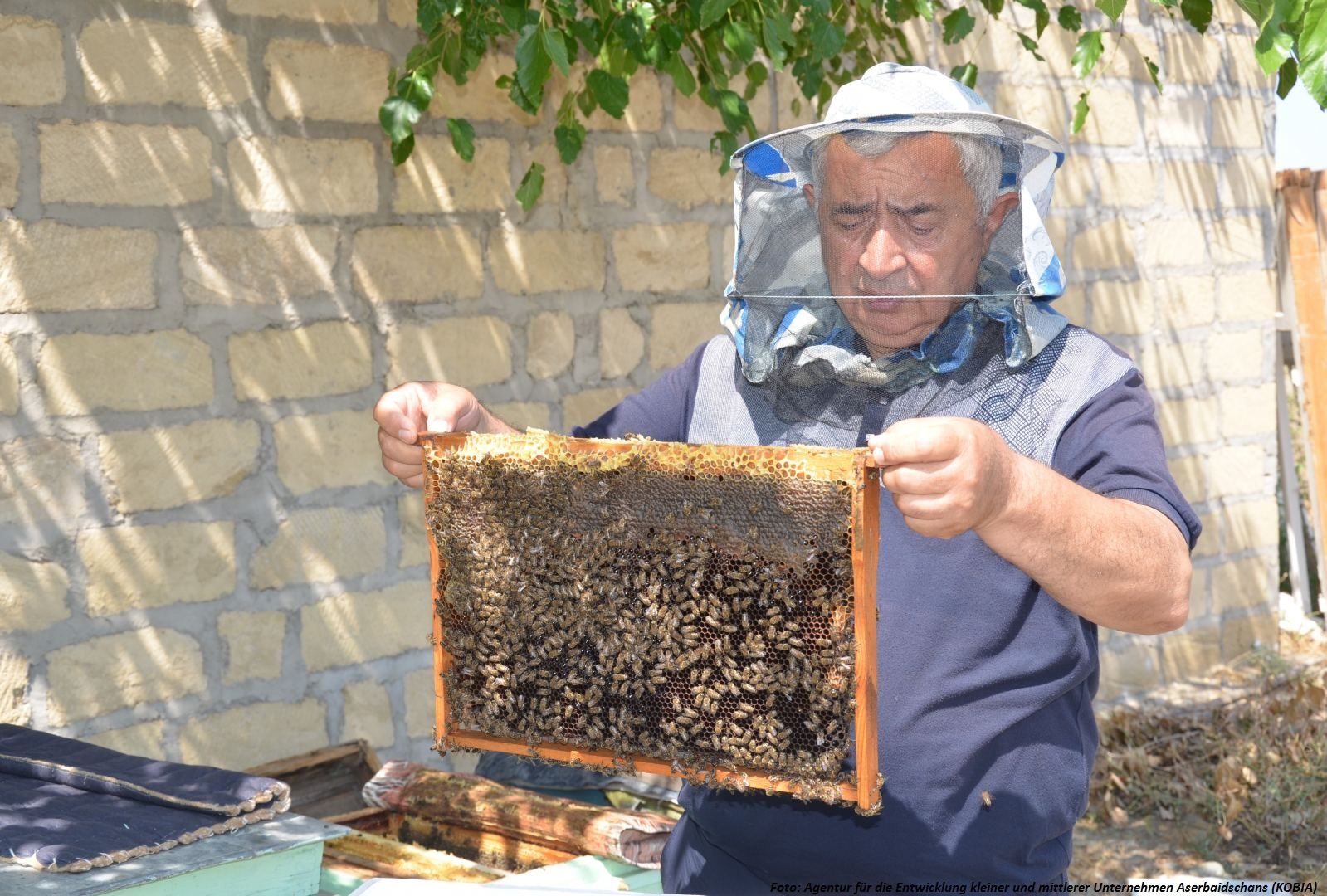 Karabach-Honig wird nach Frankreich exportiert