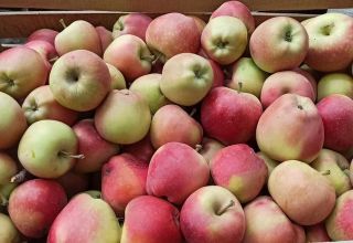 EU-Agrarrohstoffpreise um 26 % höher als im Vorjahr