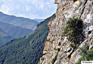 Hyrkanische Wälder in die UNESCO-Welterbeliste
