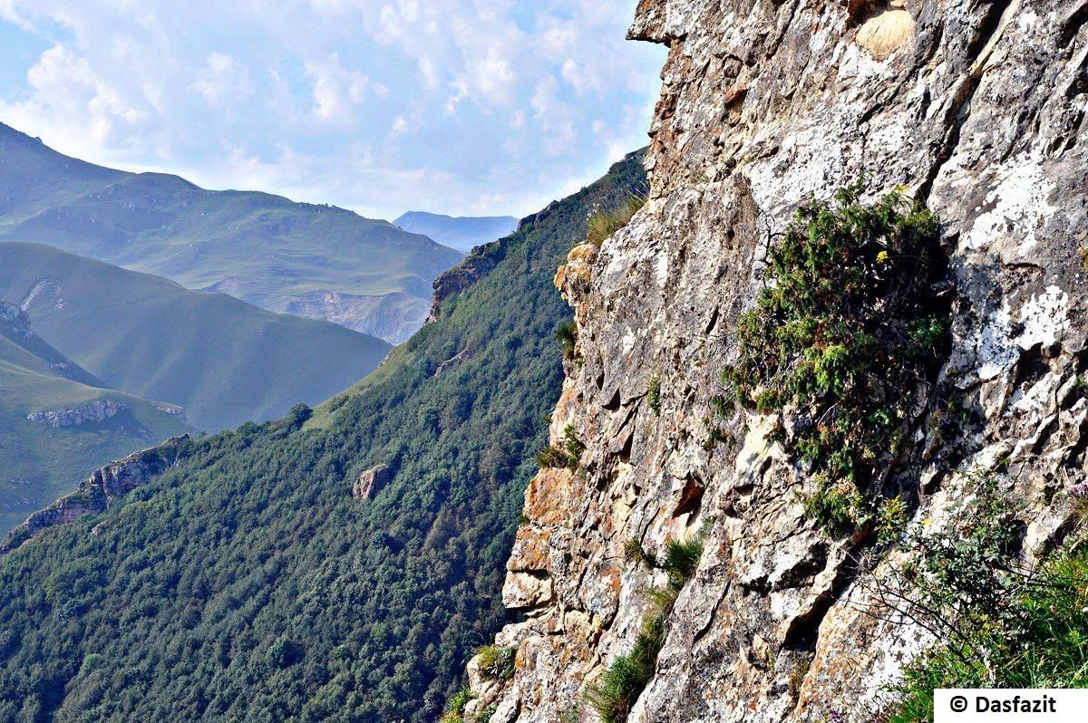 Hyrkanische Wälder können in die Liste des UNESCO-Weltkulturerbes aufgenommen werden