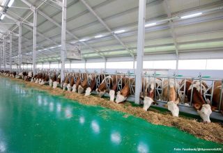 Lettisches Unternehmen baut Agrarlogistikkomplex in Usbekistan