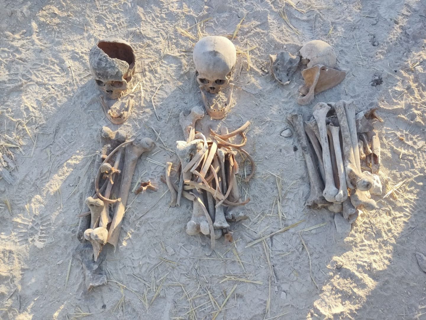 Weiteres Massengrab wurde in Karabach gefunden