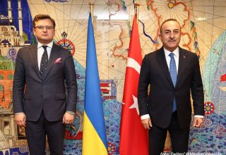Außenminister der Türkiye und der Ukraine diskutierten die Frage der Getreideexporte