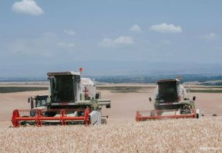 Kasachstan steigerte die Exporte landwirtschaftlicher Produkte nach China