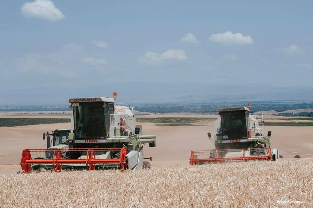 Kasachstan wird die Getreidelieferungen nach China auf 1 Million Tonnen pro Jahr erhöhen