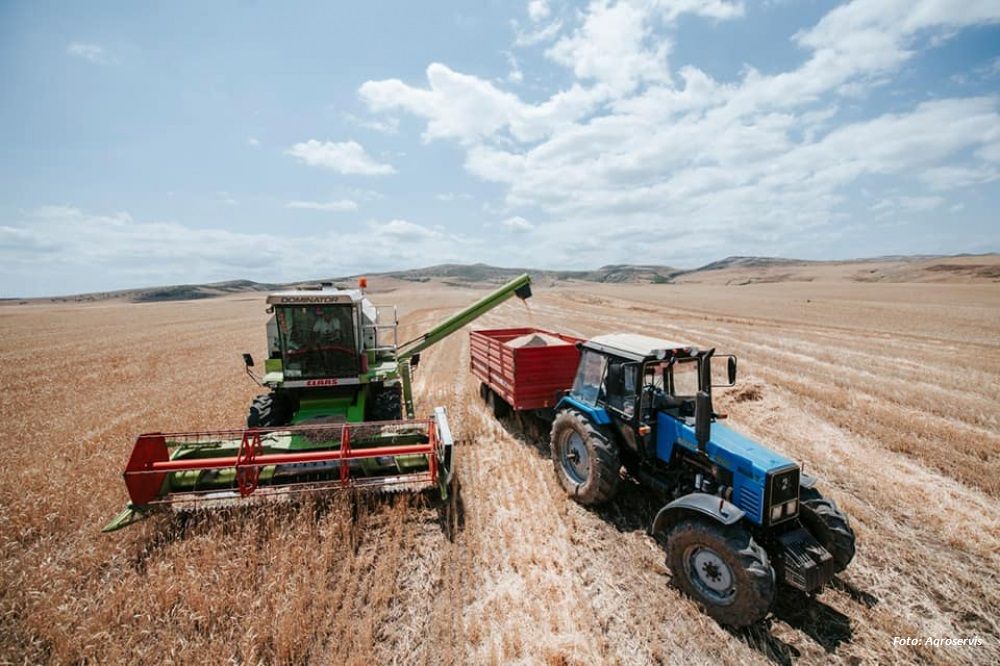 In Usbekistan machte Weizen 10 % des Devisenhandelsumsatzes des Landes aus