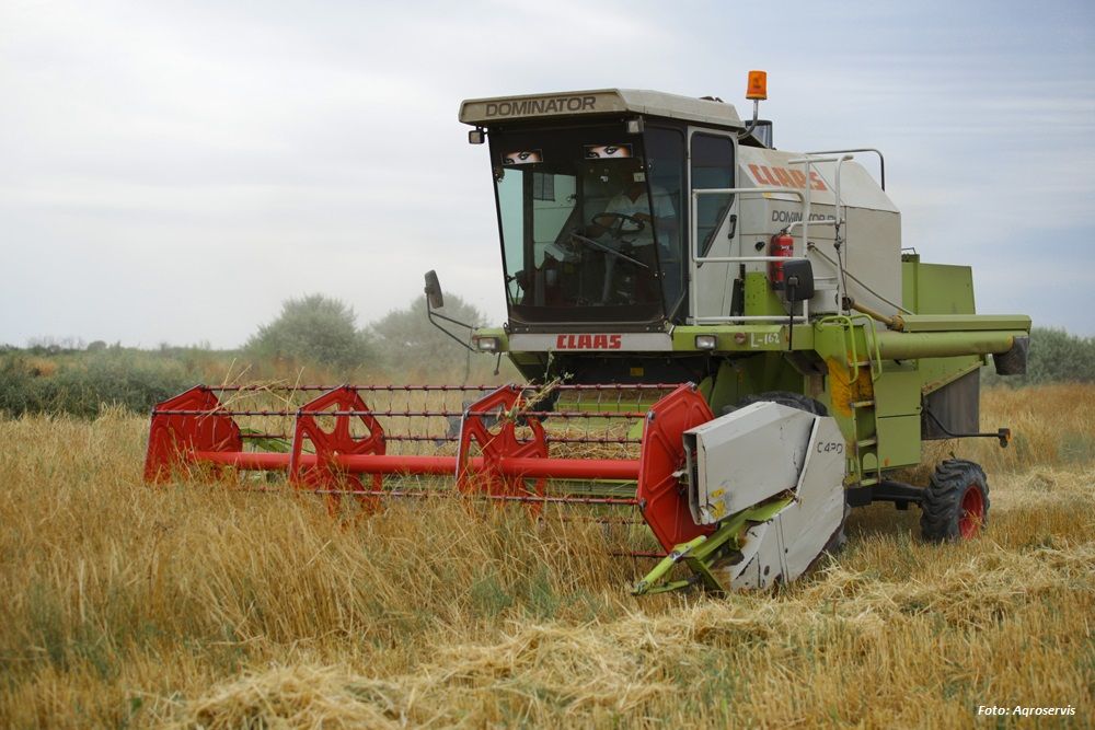 Export landwirtschaftlicher Produkte Kasachstans gesteigert