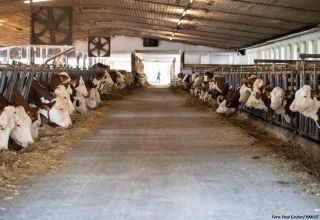 ICODS Hilmer GmbH plant den Start eines energieeffizienten Tierhaltungsprojekts in Karabach