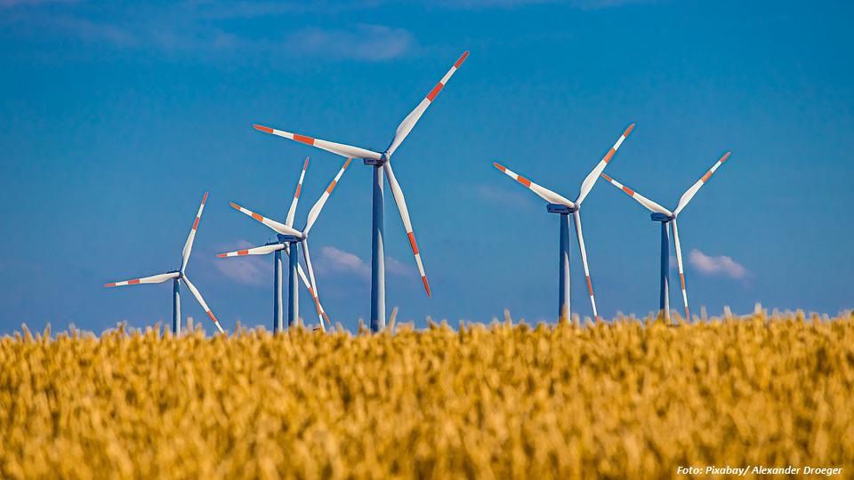 Dänische Vestas und Aserbaidschan besprachen die gemeinsame Produktion von Komponenten für Windturbinen