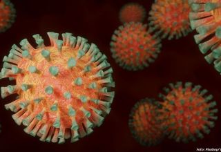 US-Außenminister nennt den Laborursprung des Coronavirus realistisch