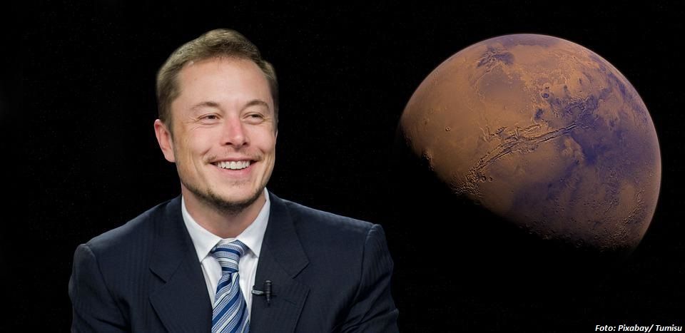 Musk machte sich über die Ermittlungen gegen Bidens Sohn lustig