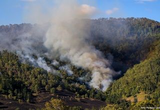 Waldbrände auf den Kanarischen Inseln haben fast 300 Hektar Wald zerstört