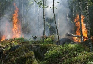 14 Tote bei Waldbränden in Kasachstan