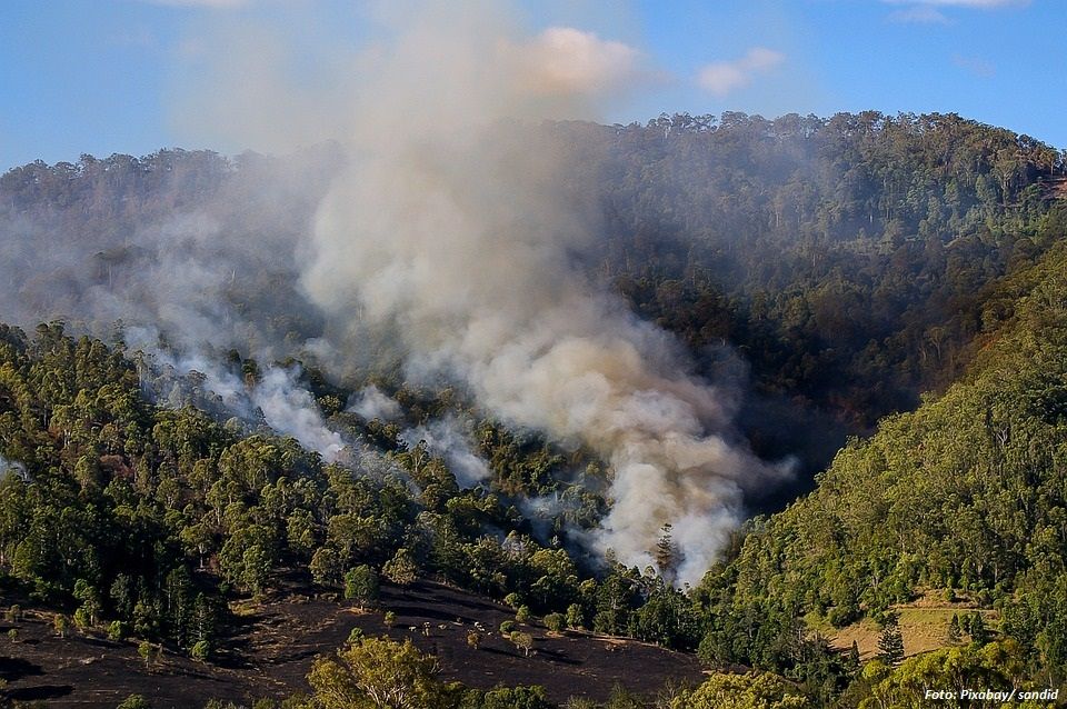 Waldbrand in Kuba