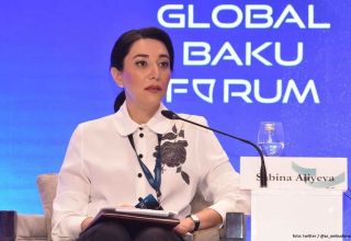 Die aserbaidschanische Ombudsfrau appelliert an internationale Organisationen wegen der von Armenien begangenen Terrorakte
