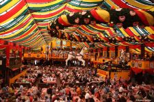 Oktoberfest - Deutschlands berühmtestes Volksfest - Gallery Thumbnail