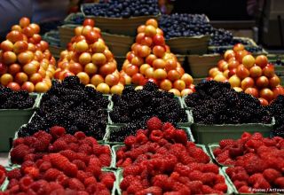 Export von Obst und Gemüse aus Usbekistan nahm zu