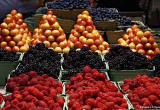 Export von Obst und Gemüse aus Usbekistan nahm zu