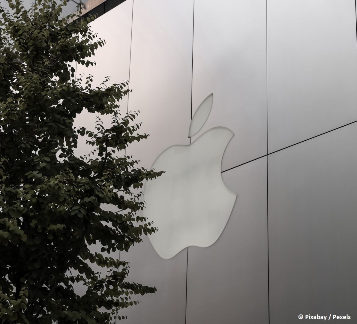 Apple senkt Nettogewinn um 13 % in Q1