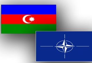 Aserbaidschan ist ein enger Partner der NATO - Beraterin des Generalsekretärs (FOTO)