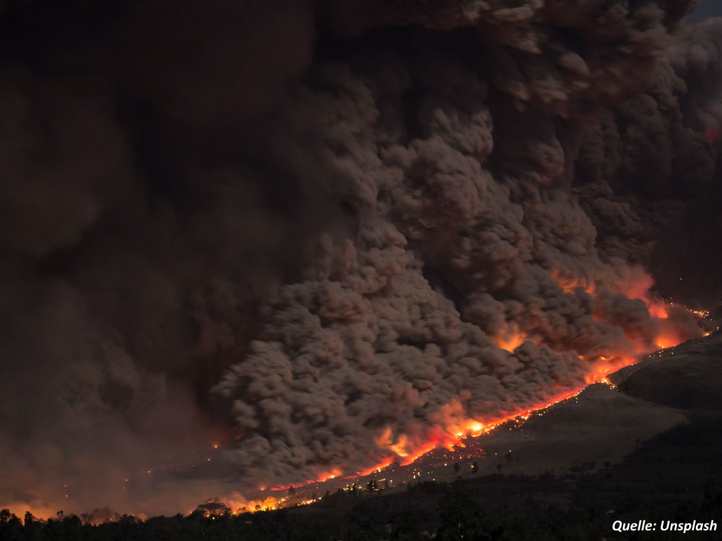 8,4 Millionen Hektar Wald in Kanada verbrannt
