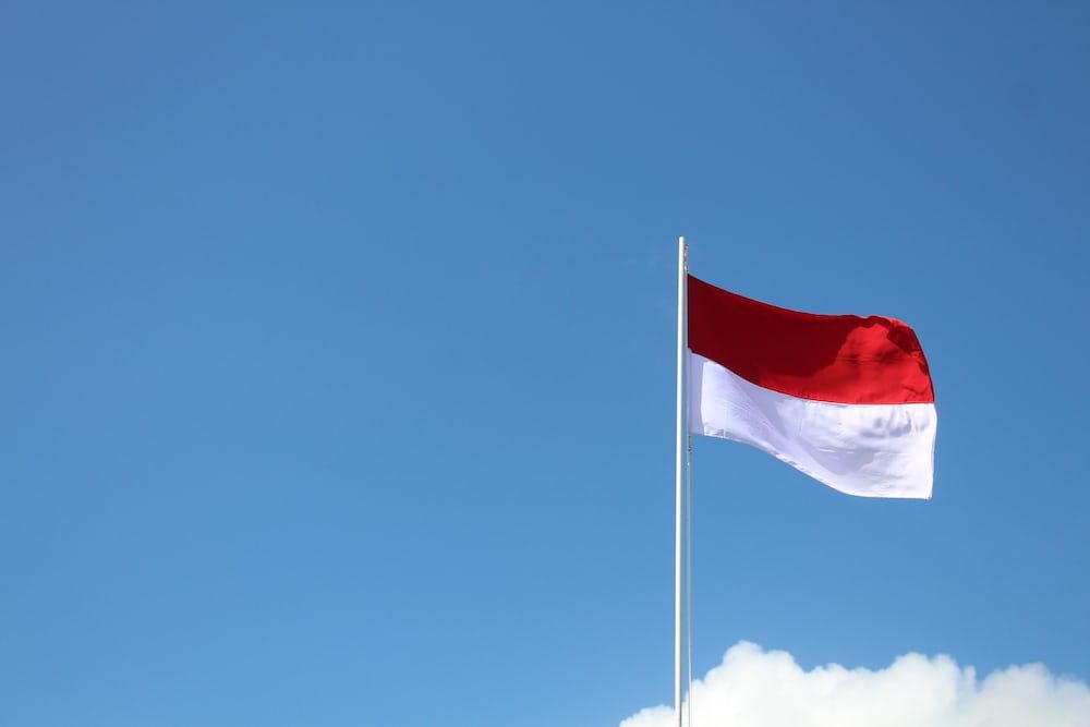 Der indonesische Präsident nannte die mögliche Rolle der ASEAN angesichts der wirtschaftlichen Instabilität