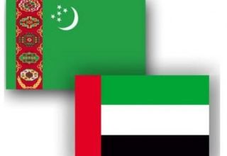 Turkmenistan und die VAE diskutierten über die Zusammenarbeit im Energiesektor