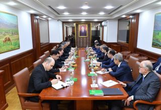 Aserbaidschan und Turkmenistan diskutierten über die gemeinsame Entwicklung des Dostlug-Feldes