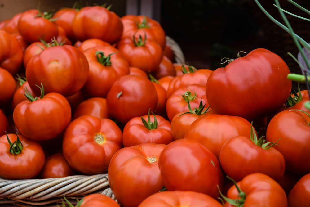 Turkmenistan exportierte Tomaten nach Kasachstan im Wert von 27,3 Millionen US-Dollar