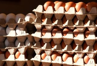 Aserbaidschan wird etwa 100 Millionen Eier verkaufen